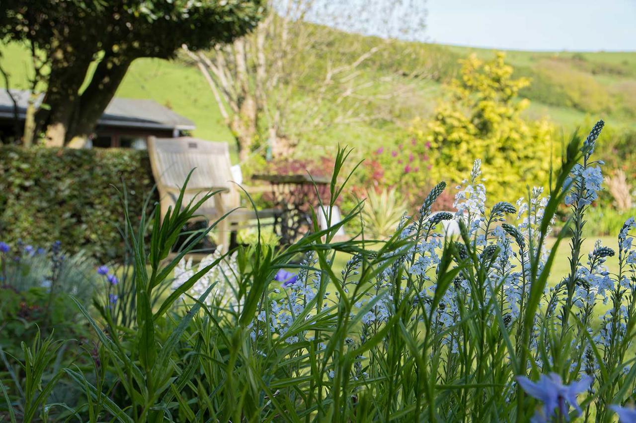 Combas Farm Hotel Braunton Exterior photo